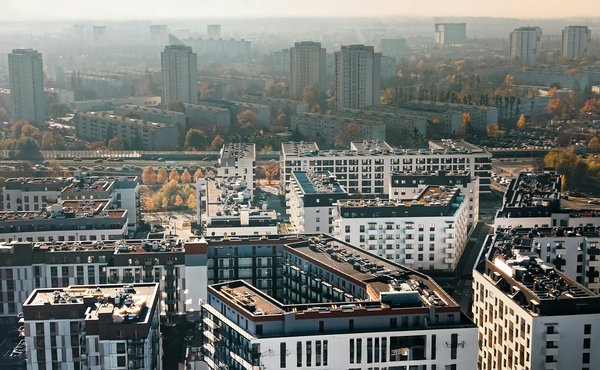 How Can Pet Owners in the UK Celebrate Their Furry Friends?